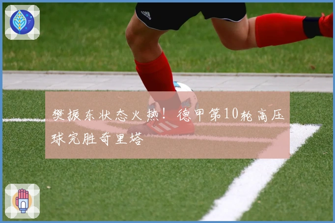樊振东状态火热!德甲第10轮高压球完胜奇里塔